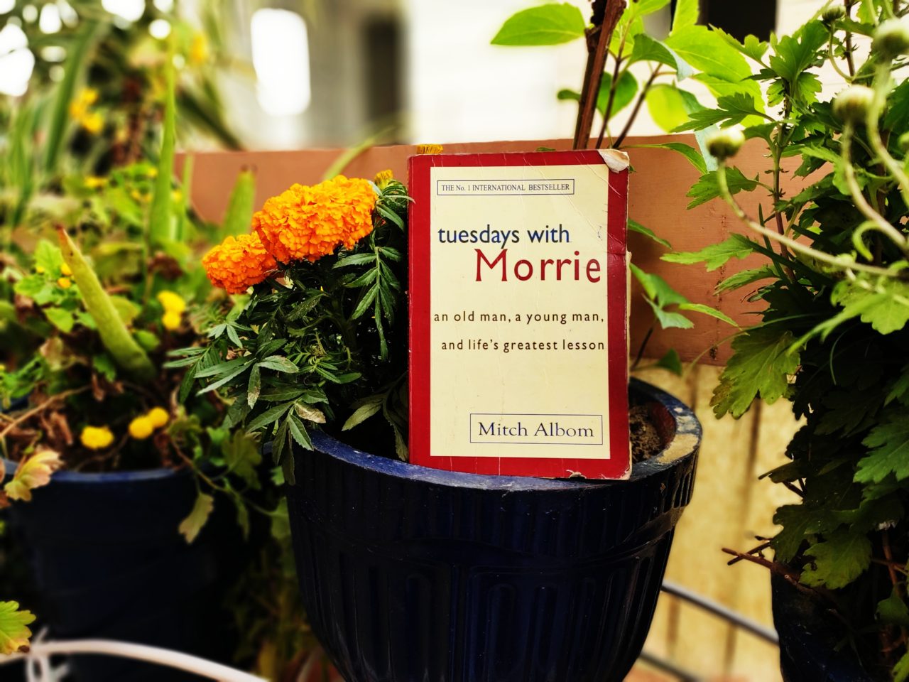 tuesdays-with-morrie-9-powerful-life-lessons-happinessdhaba