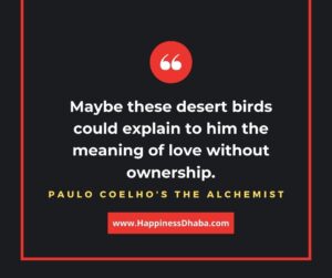 Maybe these desert birds could explain to him the meaning of Love Without Qwnership.