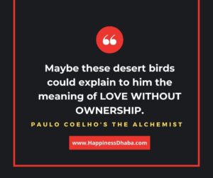 Maybe these desert birds could explain to him the Meaning of Love Without Ownership.
